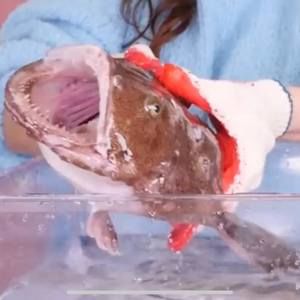 Meet your Posher, June